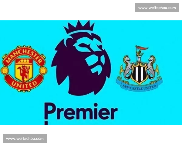 斯旺西主场迎战纽卡斯尔英超焦点对决前瞻与走势分析深度解读