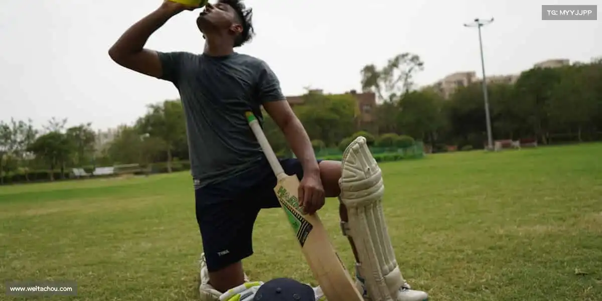 行业领先的理由